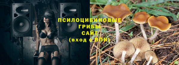 ALPHA PVP Алзамай